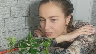 Упаковка растений с любовью 💕🌿 Растения почтой 📦