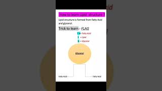 #_lipid#_structure_of lipids#trick to learn lipid structure #best_education_aruaggarwal