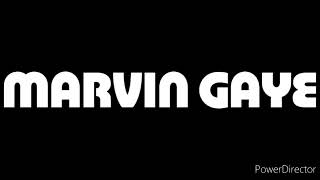 Marvin Gaye: Sexual Healing (PAL/High Tone Only) (1982)