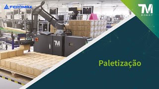 Techman Cobot - Como os Cobots Techman Melhoram a Precisão e Otimizam a Paletização na Fábrica