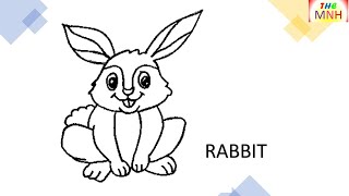 HOW TO DRAW RABBIT FOR KIDS EASY STEP BY STEP