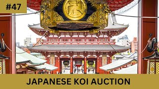 Koi Kichi Auction