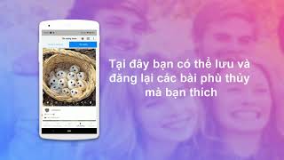 Quản lý người theo dõi cho Instagram