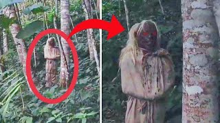 The Disturbing Entity Of The Forest - 5 Creepy Videos