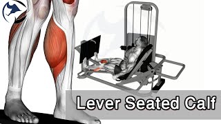 how to Lever Seated Calf Press Calves | calf