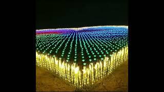 LED reed light