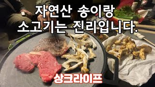 먹기위해 가는 캠핑 배터지게 먹고 왔습니다  / 자연산송이 / 한우1+ / 안계노연닭집 / 감바스 / 번데기탕 / 해물탕