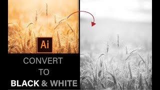 How to convert an image / artwork to black and white using illustrator