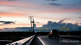 little birdie - sammy copley (original song)