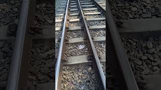 #viral #yt #shorts #train #railway #সপিউল-৬৪