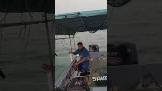 海釣船釣雞魚 #shorts