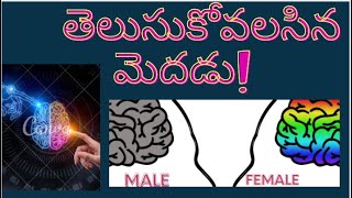 BRAIN_తెలుసుకోవలసిన మెదడు_UNKOWN FACTS