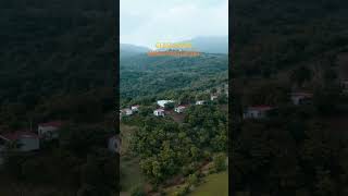 Mango Forest Resort Drone Shot. #mountains #resort #forest #glassresort