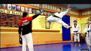 Taekwondo show kick