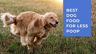 Best Dog Food for Less Poop