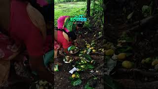 मराठमोळ्या संस्कृतीची वटपौर्णिमा.😍  #vadpurnima #kokan #viral #youtubeshorts