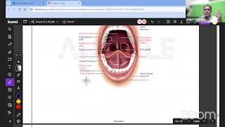 Auricle's Exam Mastery Live Class Anatomy about Osteology of Head and Neck   by Dr. Ankit