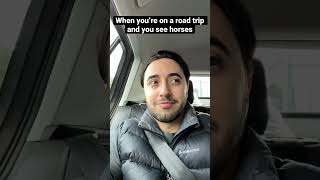 Horses