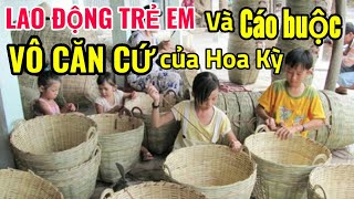 Lao động trẻ em và cáo buộc vô căn cứ của Hoa Kỳ #vietvision