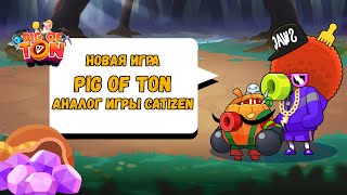 Новая игра PIG of TON | аналог игры Catizen | ОБЗОР НОВОЙ ИГРЫ |