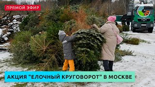 Акция "Елочный круговорот" в Москве