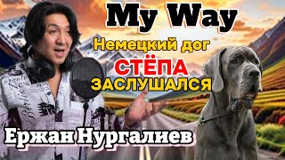 My Way - Ержан Нургалиев.