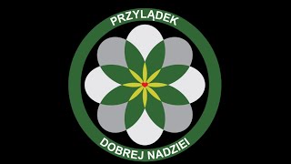 Dyrektywnie czy niedyrektywnie? O podejściu do terapii autyzmu.