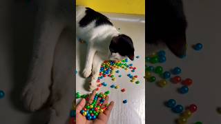 Super satisfying reverse asmr beads #asmr #reversevideo #catbarsik #beads