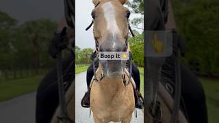 CUTE & FUNNY | #Boop the #horse #snoot 😆