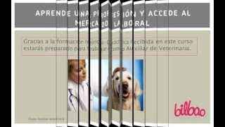 Curso Auxiliar Veterinaria  en Bilbao Formacion