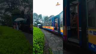 Dargeeling Toy Train #vlog #darjeeling