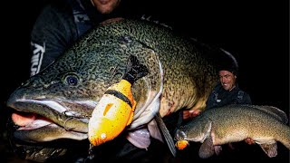 MONSTER Murray Cod, swimbait fishing we won't FORGET!