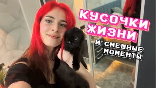 кусочки жизни и смешные моменты | январь