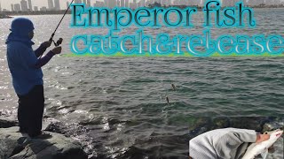 Emperor fish/Catch & Release/spykepeter official