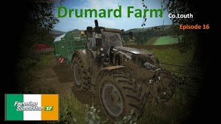 Drumard Farm #16