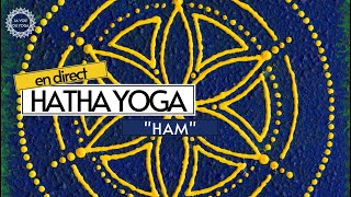 Cours de Hatha Yoga LIVE et hebdomadaire