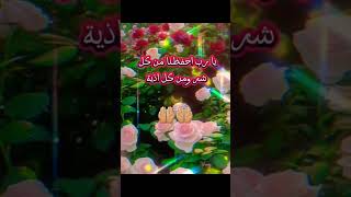 #⚘دعاء_صباحي_مع_إشراقه_هذا_اليوم👆⚘#fypシ゚viral#قران_الكريم💖#يارب 🤲🏼#