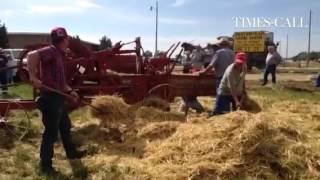 Step two of the threshing process at #Longmont's Yesteryear Farm Show.