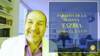 PARASHAH TAZRIA