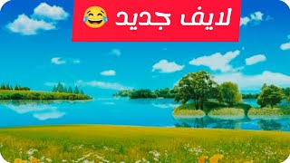 عرس محرز وتايلور اليوم كلاكيت 5 مرة