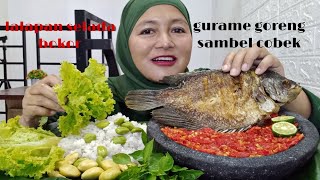 MAKAN JENGKOL MUDA LALAPAN MENTAH || GURAME GORENG SAMBEL COBEK || MAKANAN SUNDA