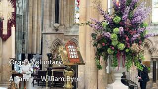 Beverley Minster Live