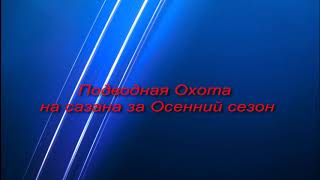 подводная охота на сазана за осени сезон2020