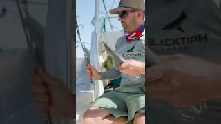 Searching for monster squid in theMiddle East #fishing #longervideos#1min #squid #middleeast