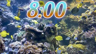 8 Minute Aquarium Timer/Countdown With Relaxing Music 🐟🐠|Cuenta Regresiva de 8 Minutos con Música.