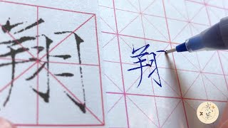 【每日一字】瘦金体楷书千字文（翔）【中性笔】