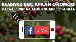 Sagantaa BBC Afaan oromoo guyyaa hardhaa bitotteesaa 08,2018