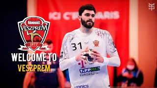 Best Of Ludovic Fabregas ● Welcome To Veszprem ● 2022 ᴴᴰ