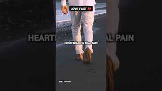 Heartbreaking Love Facts You Didn’t Know! #shortsfeeds #facts #factsshorts #lovefacts101 #viralvideo