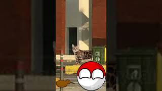 Kucing tidaklah berbahaya #countryballs #meme #funny